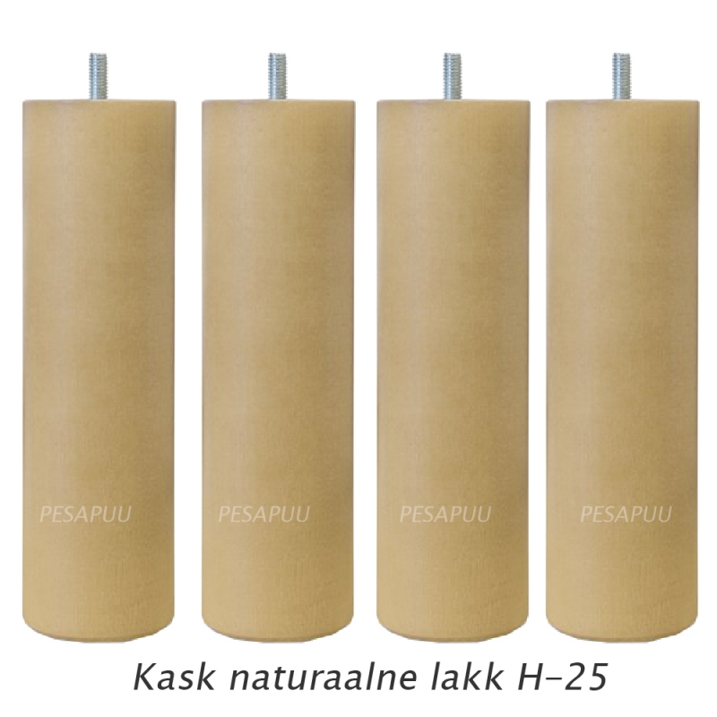 Mänguköök Ups WolfBerry